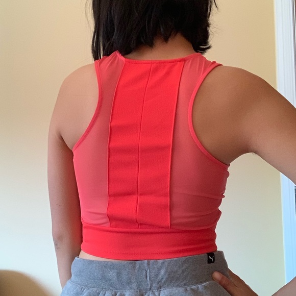 Sparkle & Fade Orange Mesh Crop Top - Picture 3 of 3